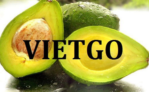 Cơ hội giao thương – Đơn hàng thường xuyên – Cơ hội xuất khẩu Quả Bơ sang thị trường Tây Ban Nha.