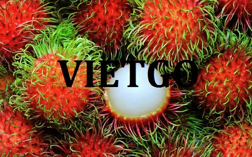 Cơ hội giao thương – Đơn hàng Thường Xuyên - Cơ hội xuất khẩu quả Chôm Chôm sang thị trường Nga.