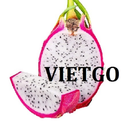 Cơ hội giao thương – Đơn hàng Thường Xuyên - Cơ hội xuất khẩu quả Thanh long sang thị trường Nga.