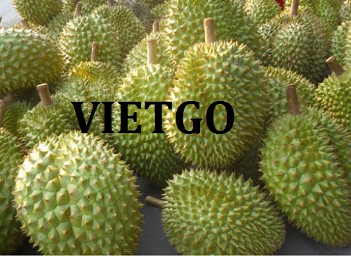 Cơ hội giao thương – Đơn hàng Thường Xuyên - Cơ hội xuất khẩu quả Sầu riêng sang thị trường Nga.