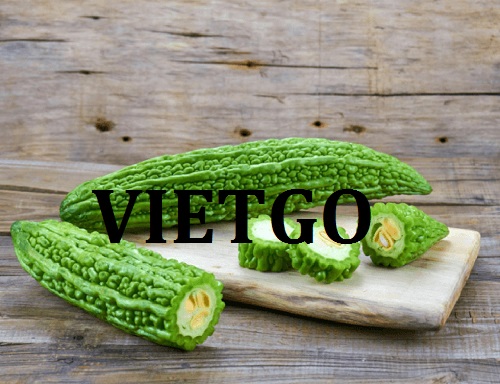 Cơ hội giao thương – Đơn hàng Thường xuyên - Cơ hội xuất khẩu Mướp đắng sang thị trường Dubai