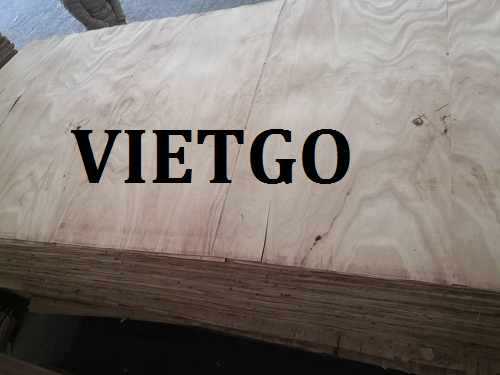 (Gấp) Cơ Hội Giao Thương - Đơn Hàng Thường Xuyên – Cơ Hội Xuất Khẩu Ván Bóc Cao Su Sang Thị Trường Trung Quốc.