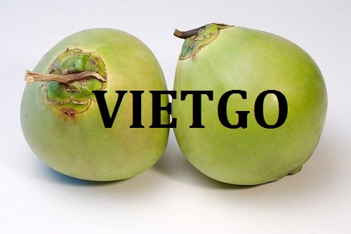Cơ hội giao thương – Đơn hàng thường xuyên – Cơ hội xuất khẩu Quả Dừa sang thị trường Tây Ban Nha.
