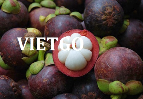 Cơ hội giao thương – Đơn hàng Thường Xuyên - Cơ hội xuất khẩu quả Măng cụt sang thị trường Nga.