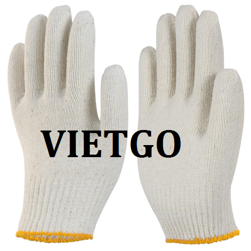 Cơ hội giao thương – Đơn hàng thường xuyên – Cơ hội cung cấp mặt hàng găng tay lao động cho doanh nghiệp tại Hàn Quốc