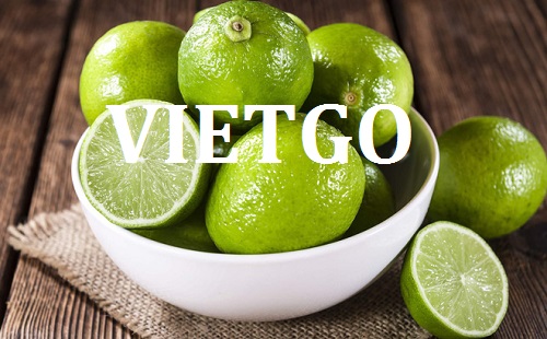 Cơ hội giao thương – Đơn hàng đặc biệt hàng tuần – Cơ hội xuất khẩu chanh xanh sang thị trường Dubai.