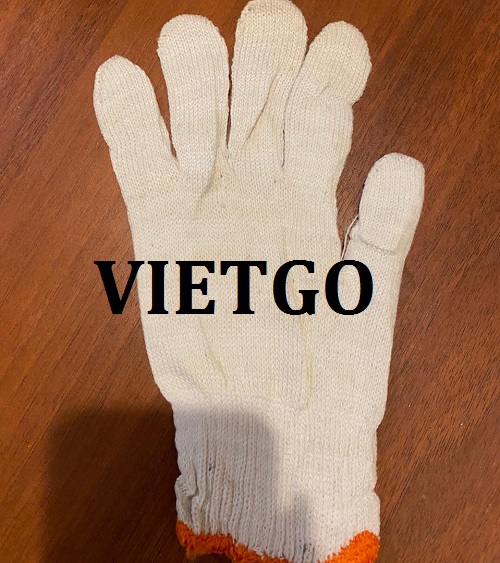 Cơ hội giao thương – Đơn hàng thường xuyên - Cơ hội xuất khẩu găng tay lao động tới thị trường Kazakhstan