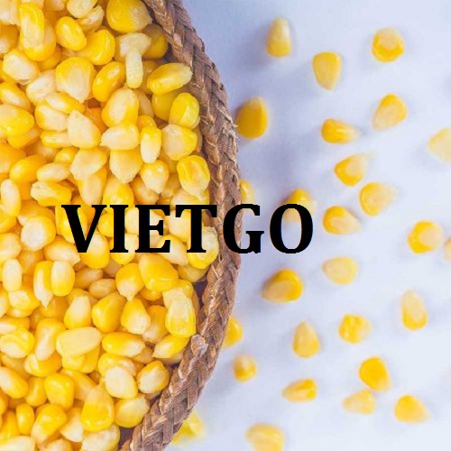 Cơ hội giao thương  - Đơn Hàng Hàng Tháng  -  Cơ hội xuất khẩu Ngô Hạt đến từ vị khách hàng người Canada