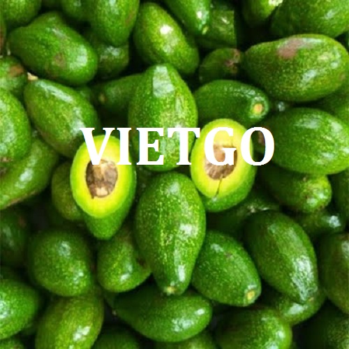 Cơ hội giao thương  - Đơn Hàng Hàng Tháng  -  Cơ hội xuất khẩu Quả Bơ sang thị trường Ấn Độ