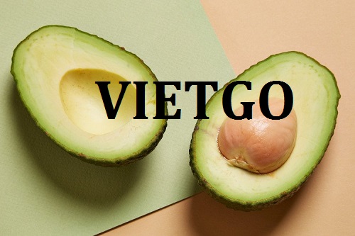 Cơ hội giao thương  - Đơn Hàng Thường Xuyên  -  Cơ hội xuất khẩu Quả Bơ đến từ vị khách hàng người Anh