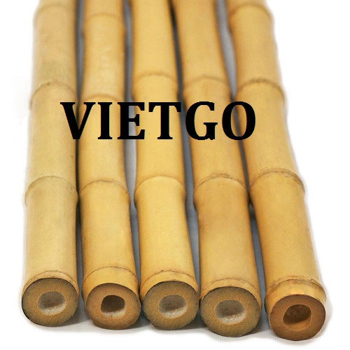 Cơ hội giao thương – Đơn hàng thường xuyên – Doanh nghiệp Thổ Nhỹ Kỳ cần tìm nhà cung cấp gậy tre