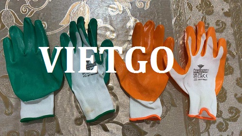 Cơ hội giao thương – Cơ hội xuất khẩu găng tay lao động sang thị trường Ả rập Xê út