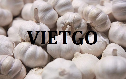 Cơ hội giao thương Đặc biệt –  Đơn hàng hàng tuần – Doanh nhân tại Nepal đang cần tìm gấp nguồn cung ứng cho sản phẩm Tỏi trắng sang thị trường Ấn Độ