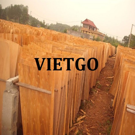 Cơ hội giao thương – Đơn hàng hàng tháng – Cơ hội xuất khẩu Ván bóc Gỗ bạch đàn sang thị trường Ấn Độ.