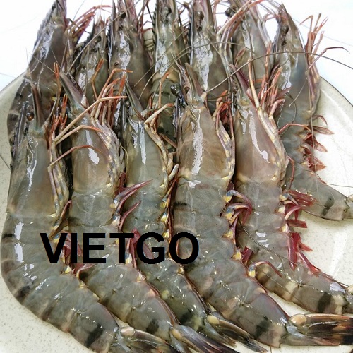 Cơ hội giao thương – Cơ hội xuất khẩu Tôm Sú sang thị trường Suriname