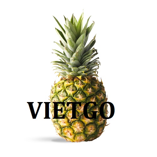 Cơ hội giao thương  - Đơn Hàng Thường Xuyên  -  Cơ hội xuất khẩu Quả Dứa đến từ vị khách hàng người Indonesia