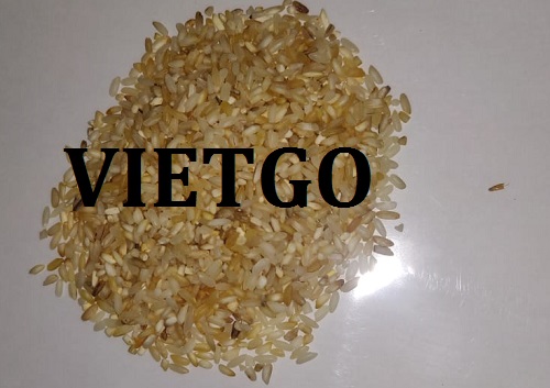 Cơ hội giao thương  - Đơn Hàng Hàng Tháng -  Cơ hội xuất khẩu Gạo sang thị trường Ấn Độ
