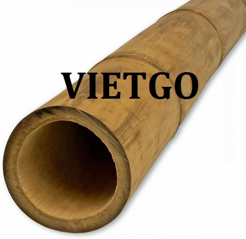 Cơ hội giao thương – Đơn hàng thường xuyên – Cơ hội xuất khẩu gậy tre sang thị trường Ấn Độ