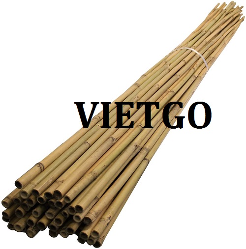 Cơ hội giao thương – Đơn hàng thường xuyên – Doanh nghiệp tại Balan cần tìm nhà cung cấp gậy tre