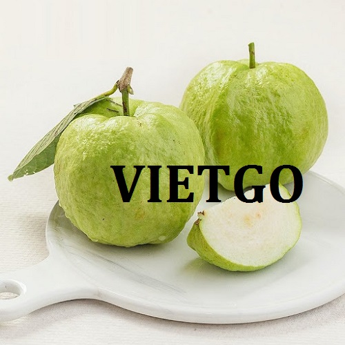 Cơ hội giao thương  - Đơn Hàng Thường Xuyên  -  Cơ hội xuất khẩu Quả Ổi sang thị trường UAE