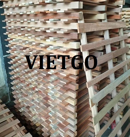 Cơ Hội Giao Thương - Đơn Hàng Thường Xuyên – Cơ Hội Xuất Khẩu Gỗ Bạch Đàn Xẻ Sang Thị Trường Ấn Độ.