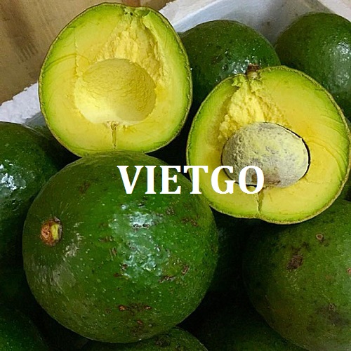 Cơ hội giao thương – Đơn hàng thường xuyên - Cơ hội xuất khẩu Bơ sang thị trường Dubai