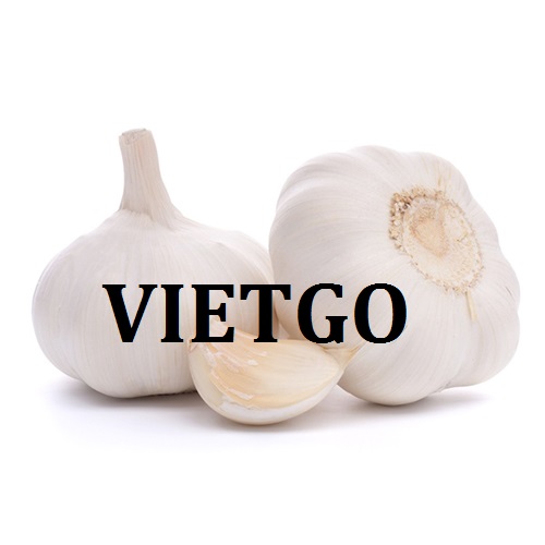 Cơ hội giao thương  - Đơn Hàng Hàng Tháng -  Cơ hội xuất khẩu Tỏi Trắng sang thị trường Ấn Độ