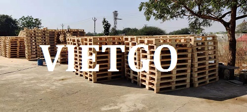 Cơ hội giao thương – Đơn hàng thường xuyên - Cơ hội xuất khẩu Gỗ thông xẻ sang thị trường Ấn Độ.