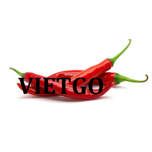 Cơ hội giao thương  - Đơn Hàng Cả Năm -  Cơ hội xuất khẩu Ớt Đỏ sang thị trường Trung Quốc