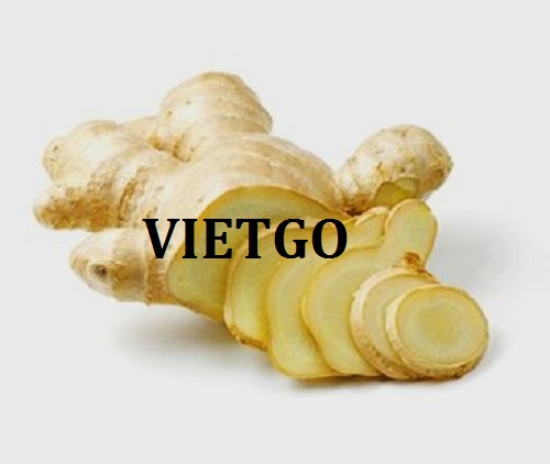 Cơ hội giao thương – Đơn hàng đặc biệt hàng tuần – Cơ hội xuất khẩu Gừng sang thị trường Pakistan.