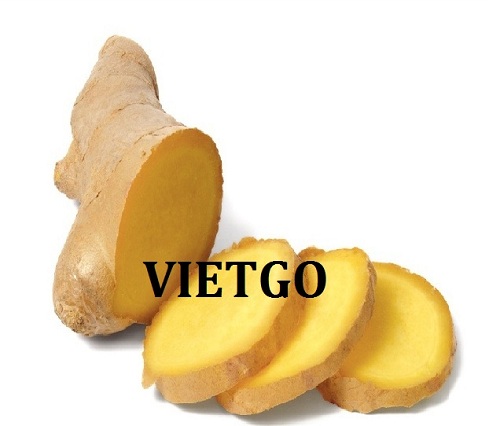 Cơ hội giao thương – Đơn hàng Hàng tháng - Cơ hội xuất khẩu Gừng sang thị trường Thổ Nhĩ Kỳ