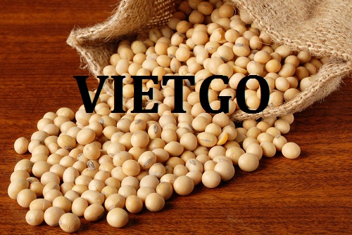 Cơ hội giao thương – Đơn hàng cả năm - Cơ hội cung cấp Đậu Nành sang thị trường Trung Quốc