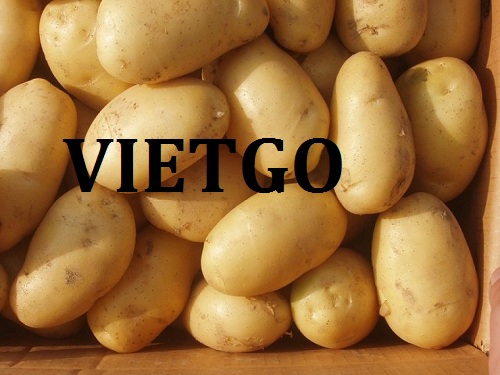Cơ hội giao thương – Đơn hàng Đặc biệt hàng tuần - Cơ hội xuất khẩu khoai tây sang thị trường Ấn Độ.