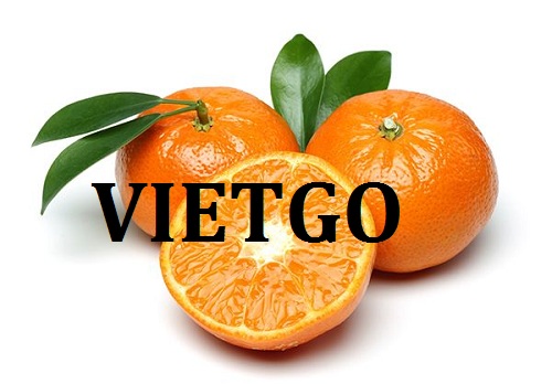 Cơ hội giao thương – Đơn hàng hàng tuần - Cơ hội xuất khẩu cam ngọt sang thị trường Ấn Độ.