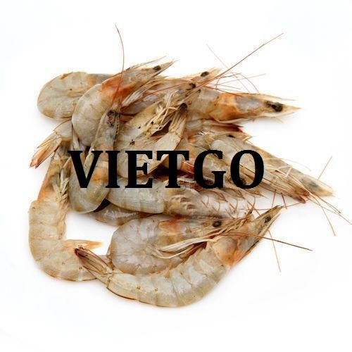 Cơ hội giao thương – Đơn hàng thường xuyên – Doanh nghiệp chuyên nhập khẩu hải sản tại Mauritius cần tìm nhà cung cấp tôm biển
