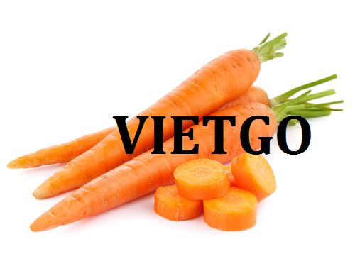 Cơ hội giao thương  - Đơn Hàng Thường Xuyên -  Cơ hội xuất khẩu Cà Rốt sang thị trường UAE