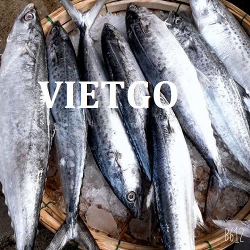 Cơ hội giao thương – Đơn hàng Đặc biệt kéo dài 2 năm - Cơ hội xuất khẩu Cá Thu sang cộng hòa Benin