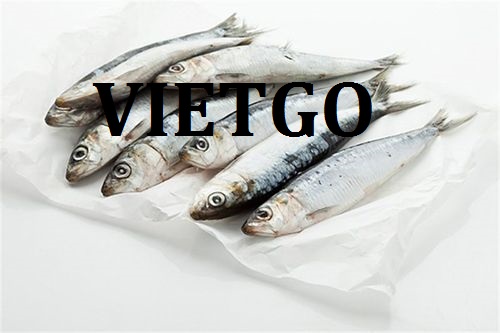 Cơ hội giao thương – Đơn hàng Đặc biệt Thường xuyên - Cơ hội xuất khẩu Cá Mòi sang cộng hòa Benin