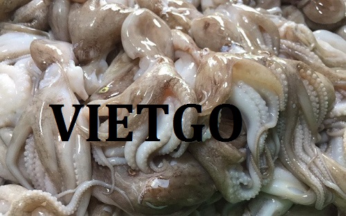 Cơ hội giao thương – Cơ hội xuất khẩu Bạch tuộc sang thị trường Chile