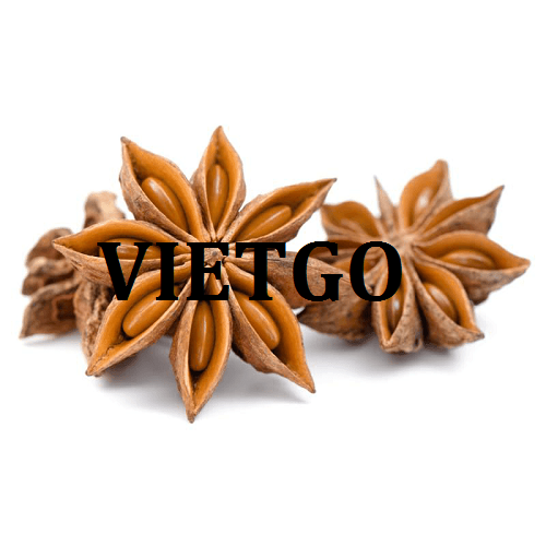 Cơ hội giao thương – Đơn hàng Cả năm - Cơ hội xuất khẩu Hồi sang thị trường Trung Quốc