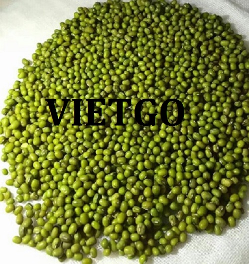 Cơ hội giao thương – Đơn hàng Hàng tháng - Cơ hội xuất khẩu Đậu xanh đến thị trường Peru.