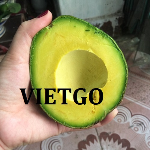 Cơ hội giao thương – Đơn hàng hàng tuần - Cơ hội xuất khẩu Bơ tươi sang thị trường Ấn Độ.