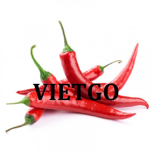 Cơ hội giao thương  - Đơn Hàng Hàng Tháng -  Cơ hội xuất khẩu Ớt Tươi sang thị trường Singapore