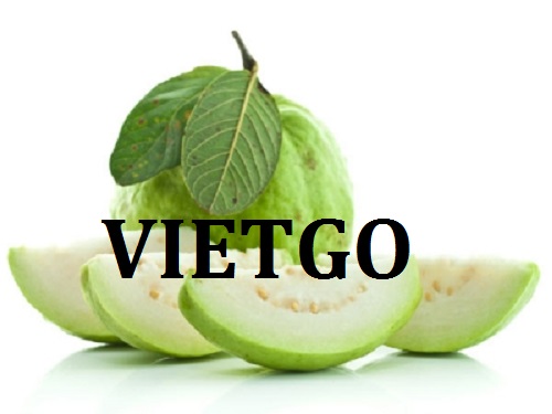Cơ hội giao thương Đặc Biệt  - Đơn Hàng Thường Xuyên -  Cơ hội xuất khẩu Quả Ổi sang thị trường UAE