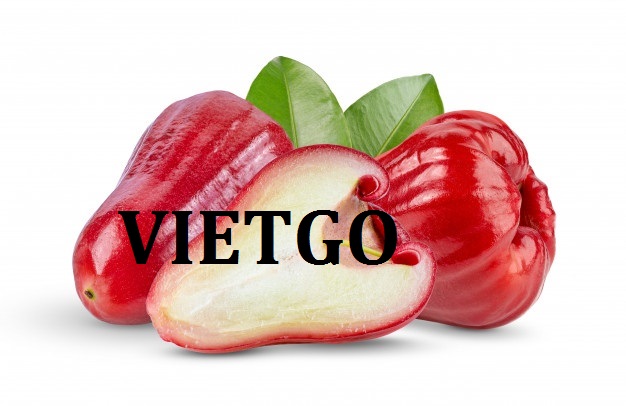 Cơ hội giao thương Đặc Biệt  - Đơn Hàng Hàng Tuần -  Cơ hội xuất khẩu Quả Roi cho một đơn vị chuyên nhập khẩu nông sản số lượng lớn tại thị trường Hong Kong