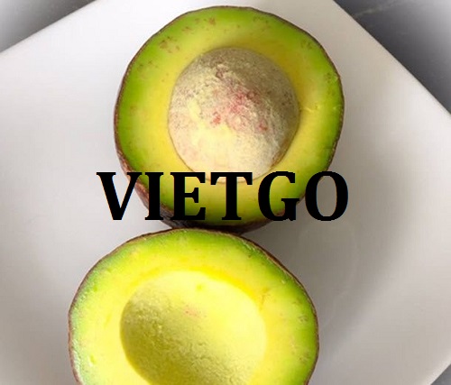Cơ hội giao thương Đặc biệt – Đơn hàng hàng tháng – Cơ hội xuất khẩu Bơ sang thị trường Pháp
