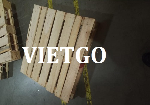 Cơ Hội Giao Thương - Đơn Hàng Cả Năm – Cơ Hội Xuất Khẩu Pallet Gỗ Thông Sang Thị Trường Mỹ.