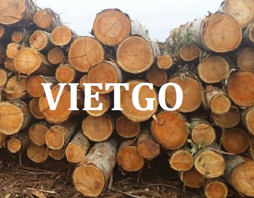 Cơ Hội Giao Thương Đặc Biệt - Đơn Hàng Thường Xuyên – Cơ Hội Xuất Khẩu Gỗ Bạch Đàn Tròn Sang Thị Trường Ấn Độ.