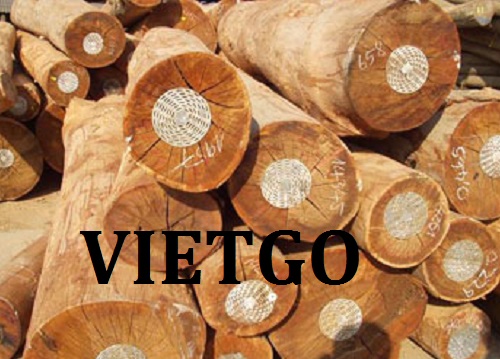 Cơ Hội Giao Thương Đặc Biệt - Đơn Hàng Thường Xuyên – Cơ Hội Xuất Khẩu Gỗ Cao Su Tròn Sang Thị Trường Ấn Độ.