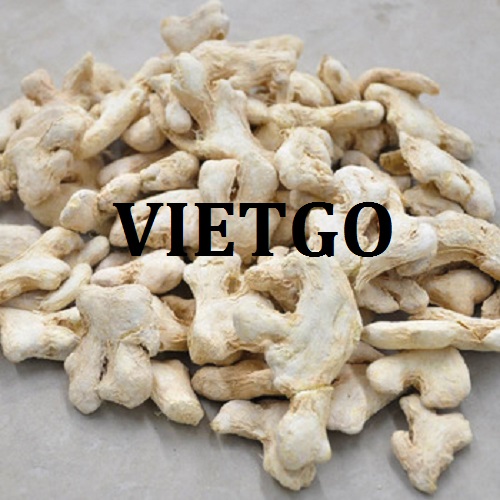 Cơ hội giao thương  - Đơn Hàng Cả Năm -  Cơ hội xuất khẩu Gừng Khô sang thị trường Bangladesh